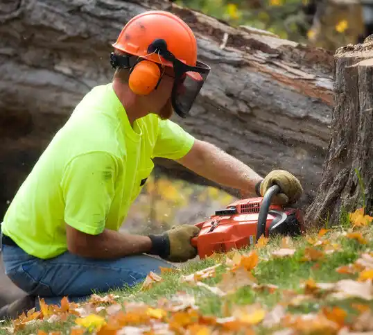 tree services Norborne